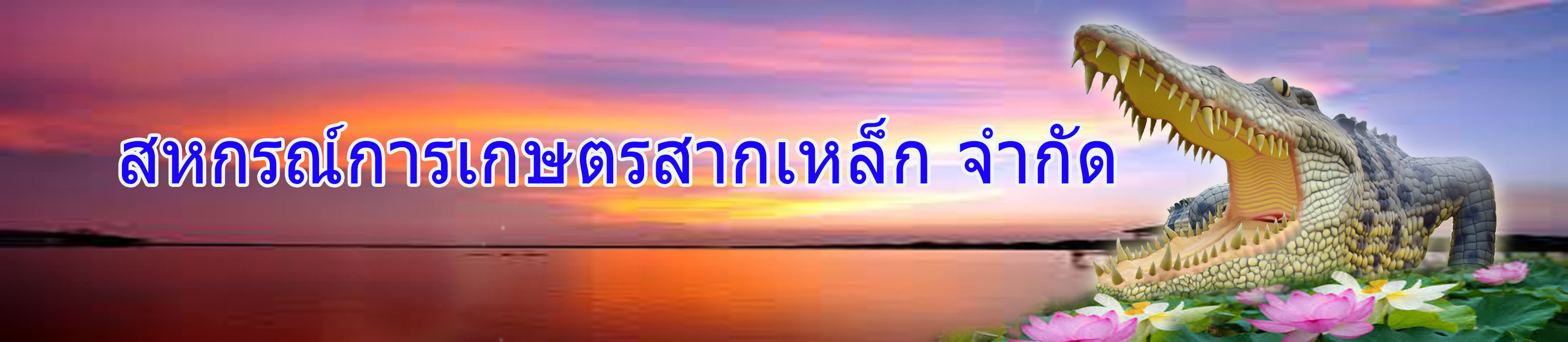 สหกรณ์การเกษตรสากเหล็ก จำกัด